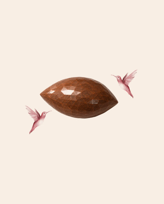 Almond & Coconut Bonbon