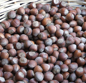 Hazelnuts