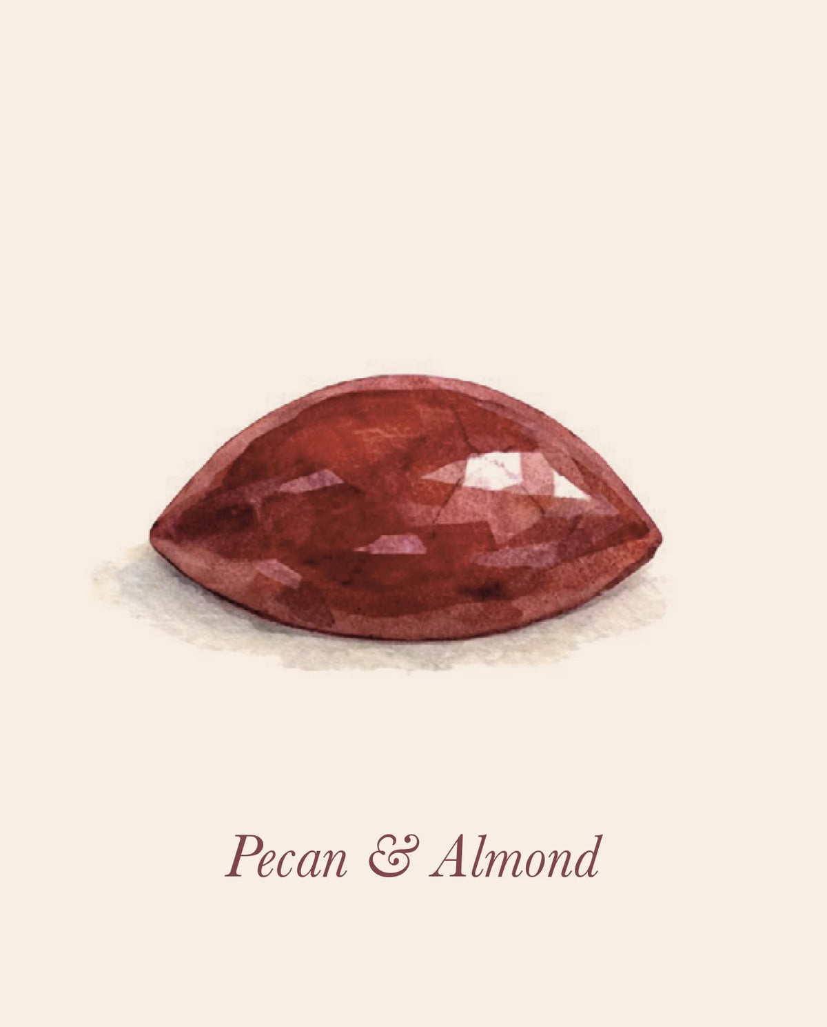 Pecan & Almond Bonbon