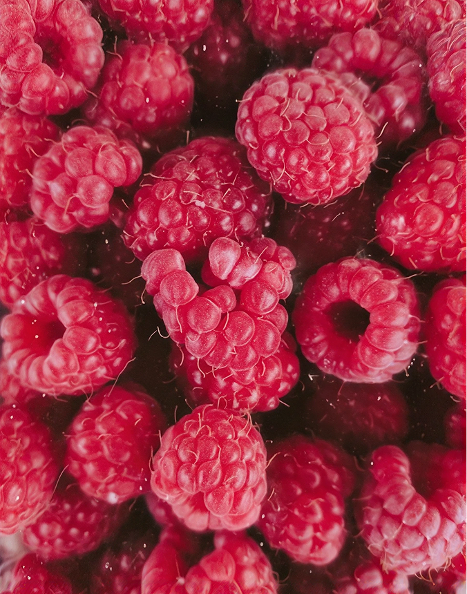 Raspberry Purée