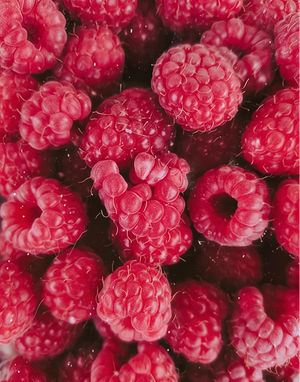 Raspberry Purée